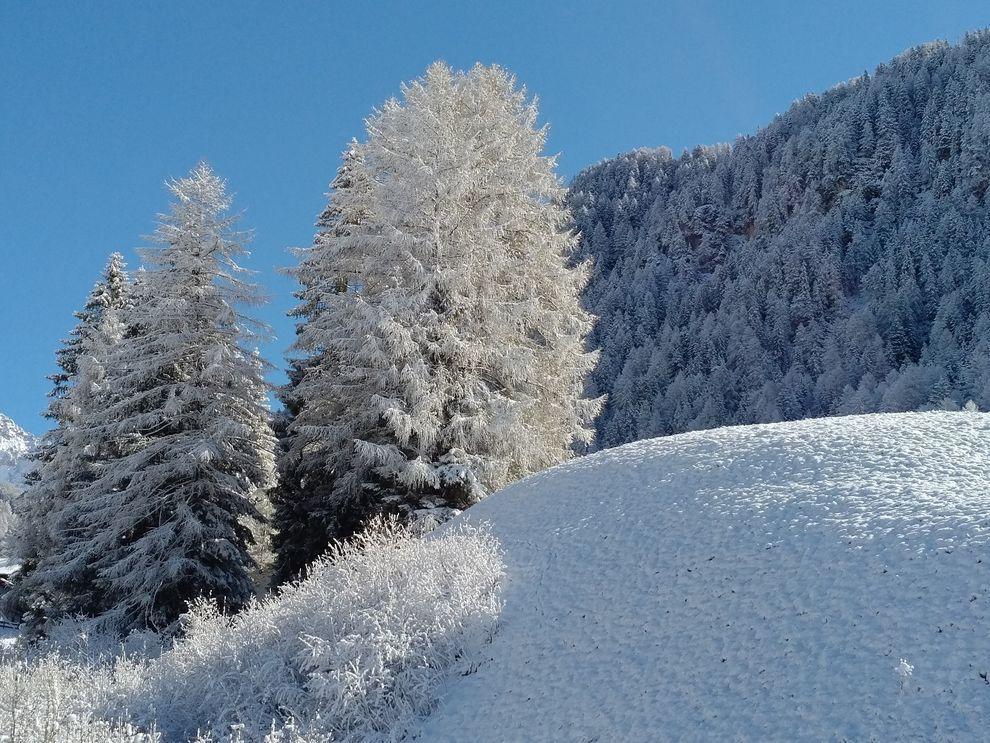 Garni Waltoy Hotell Selva di Val Gardena Eksteriør bilde